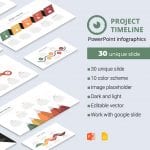 Project Timeline PowerPoint Infographics Presentation