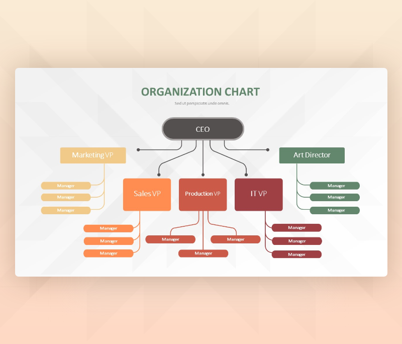 Organization Chart