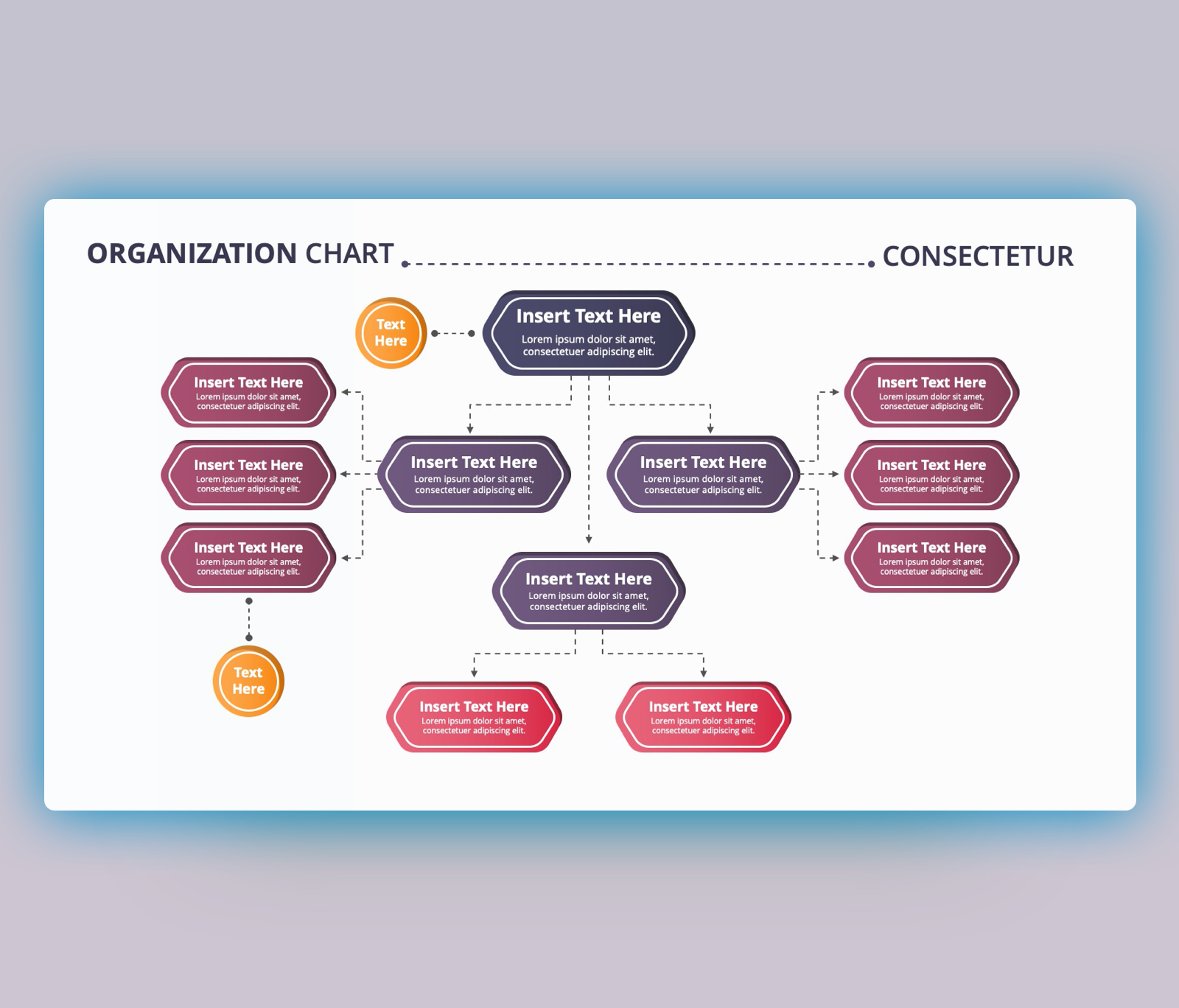 Organization Chart Consectetur PPT Template