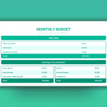 Monthly Project Budget PPT